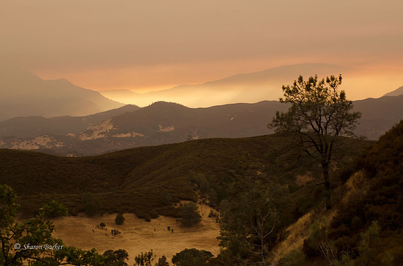 Fire in the Foothills 6530