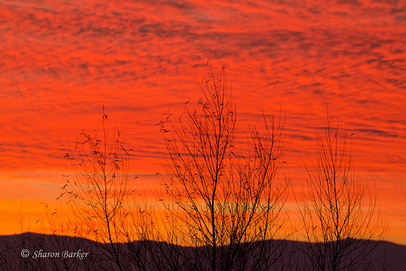 Fire in the Sky 9881