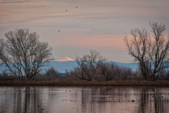 Refuge morning