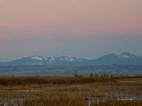 Dawn Snow Mountain 3986
