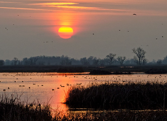 Dawn on Pond Two