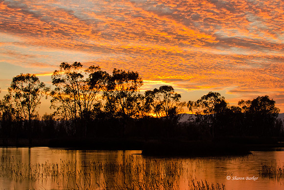 Firey Sunset 9851