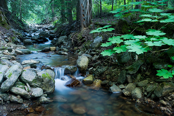 Secluded Spot