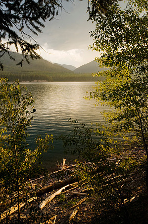 Lake Light