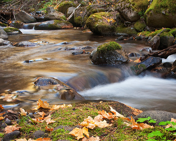 Deer Creek in Fall 9047