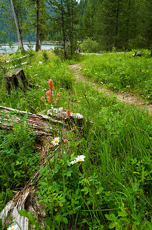 Path to the Lake