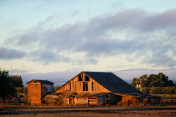 Barn at Sunrise 9706