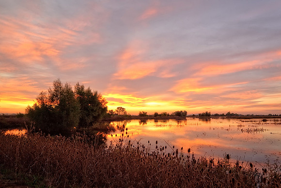 Refuge Sunrise  8761